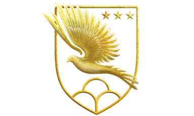 Fellow, Tortora Brayda Institute for AI & Cybersecurity logo